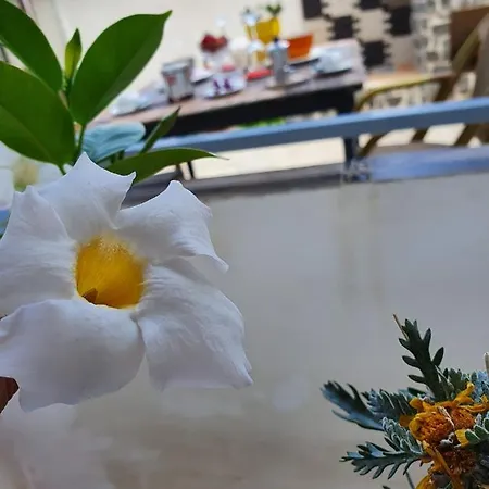 Cappotto Civico 48 Alojamento de Acomodação e Pequeno-almoço 3*