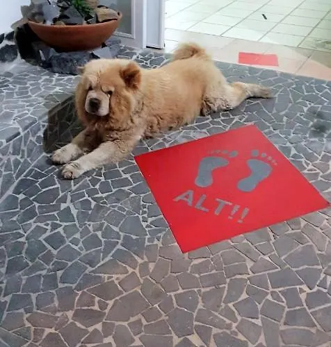 Cappotto Civico 48 Nocleg ze śniadaniem