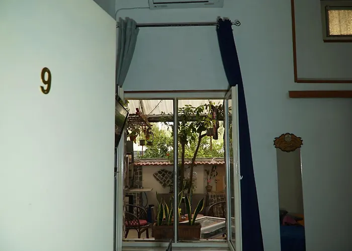 Cappotto Civico 48 Pompeia